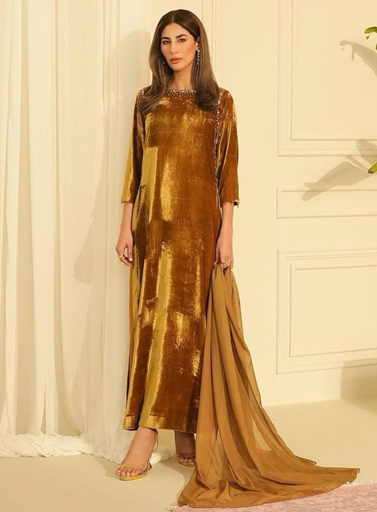 Golden Luxe Velvet Dress